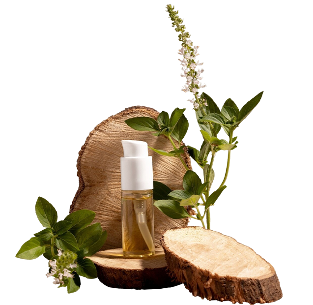silider2herbal
